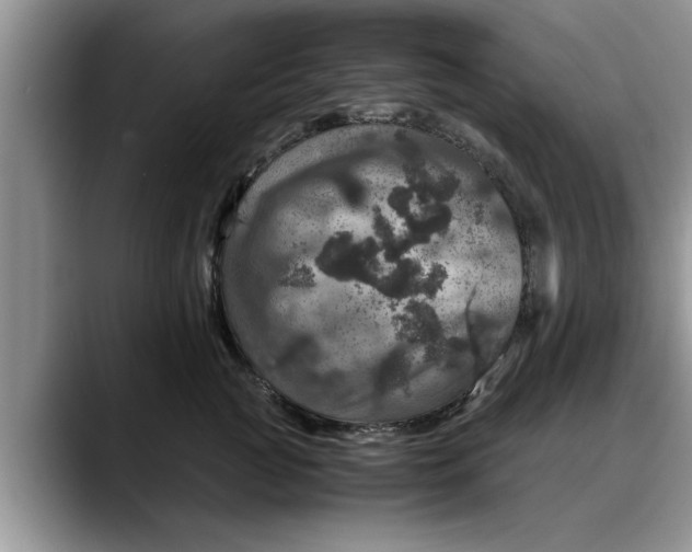 X0000088230761200705292134