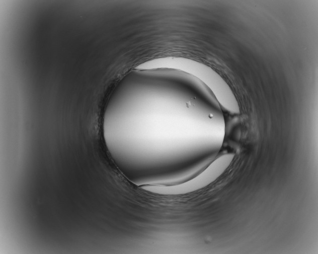 X0000088230762200705292134