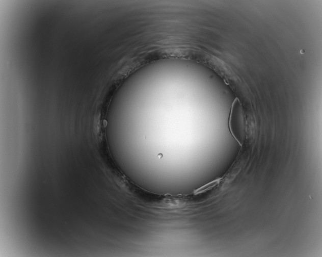 X0000088230764200705292134