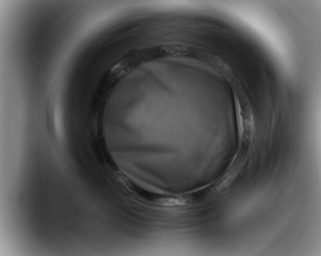 X0000088230765200705292134
