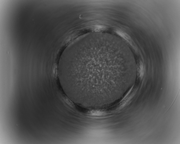X0000088230766200705292134