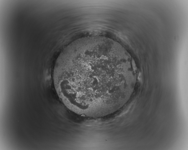 X0000088230771200705292133