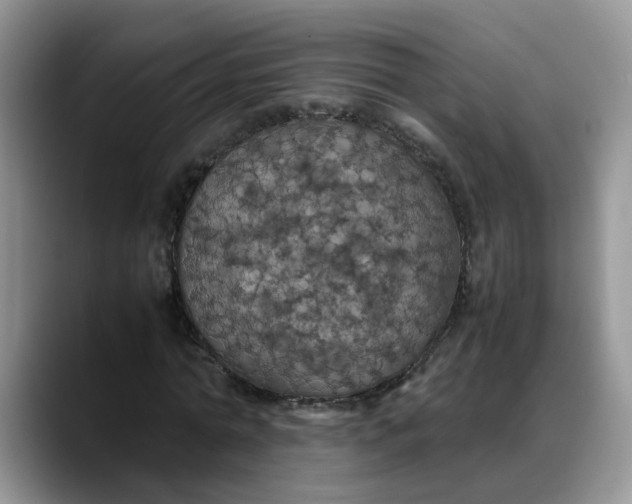 X0000088230774200705292133