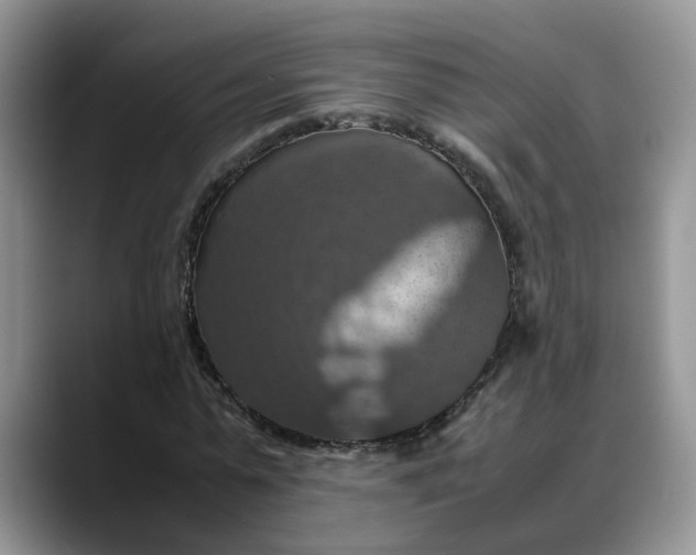 X0000088230775200705292133