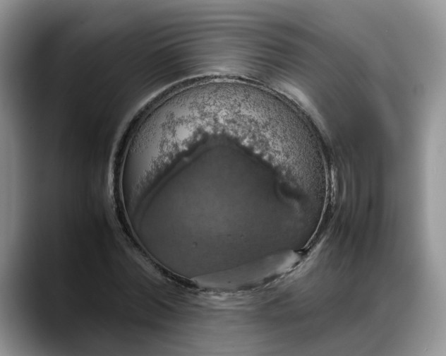 X0000088230780200705292133