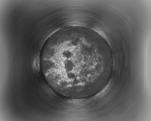 X0000088230782200705292133