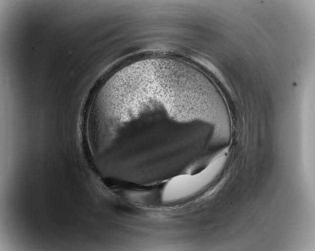 X0000088230783200705292133