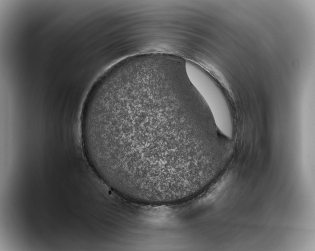 X0000088230784200705292133