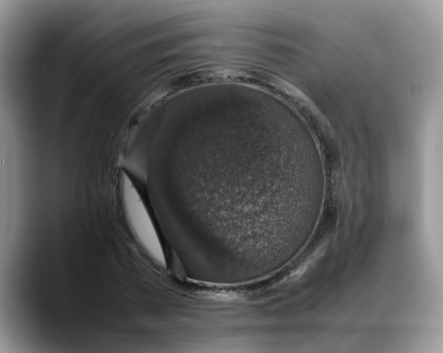 X0000088230785200705292133