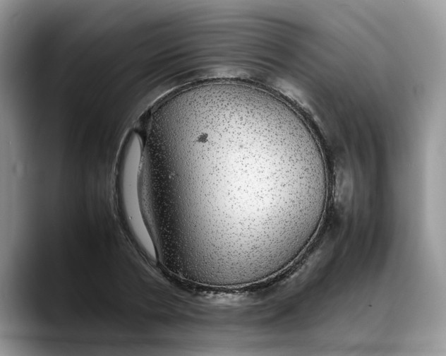 X0000088230786200705292133