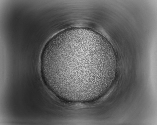 X0000088230787200705292133