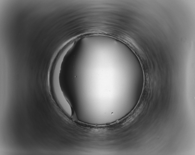 X0000088230788200705292133