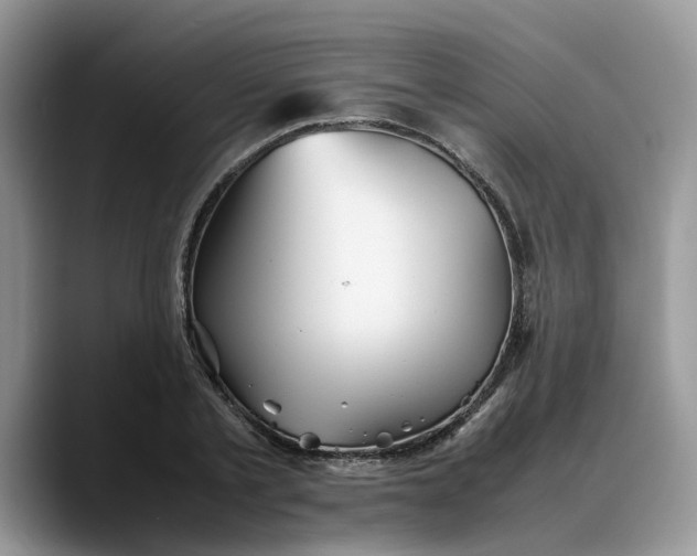 X0000088230789200705292133