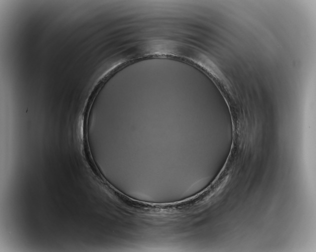 X0000088230790200705292133