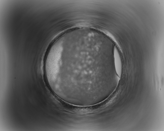X0000088230791200705292133