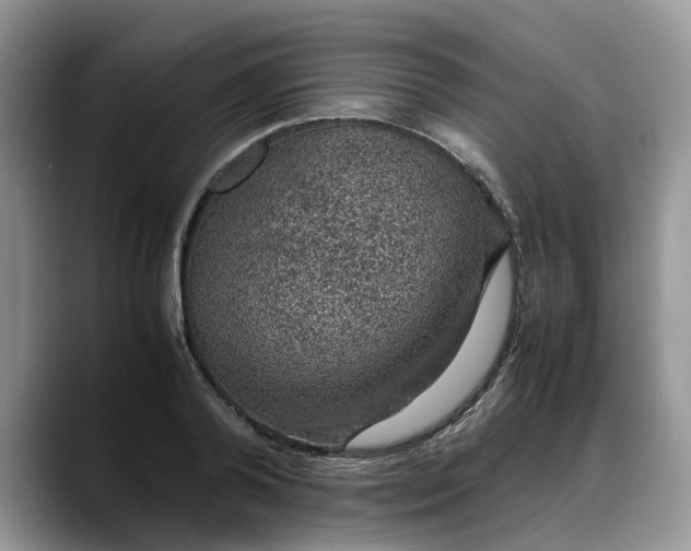 X0000088230792200705292133