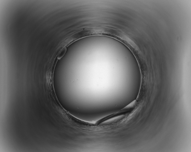 X0000088230793200705292133