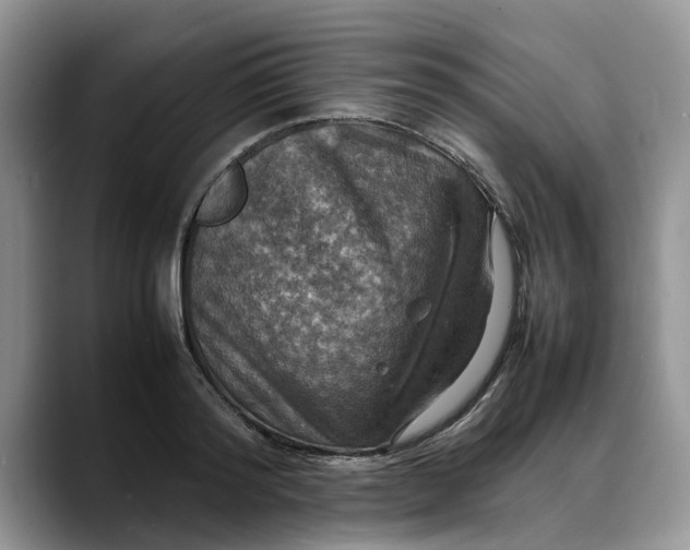 X0000088230796200705292133
