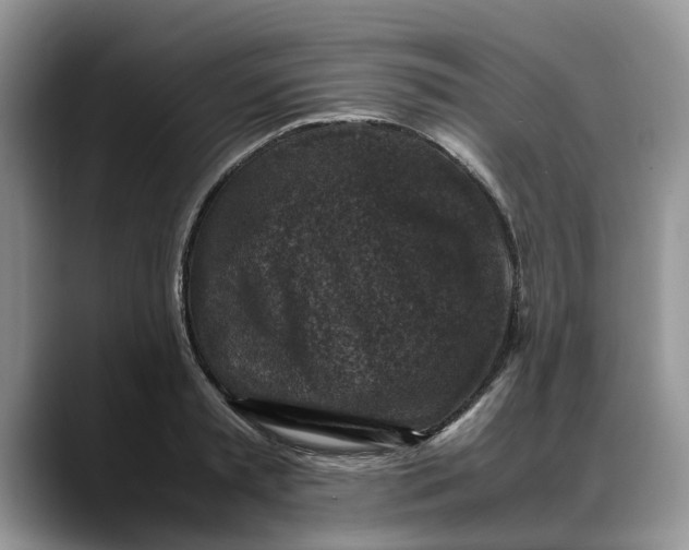 X0000088230797200705292133