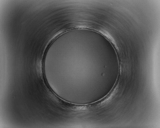 X0000088230798200705292133