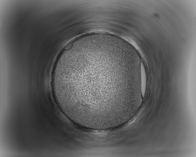 X0000088230799200705292133