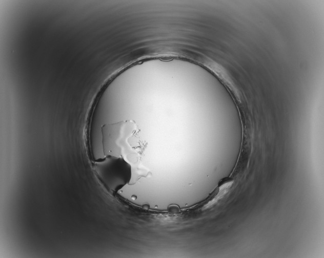 X0000088230805200705292133