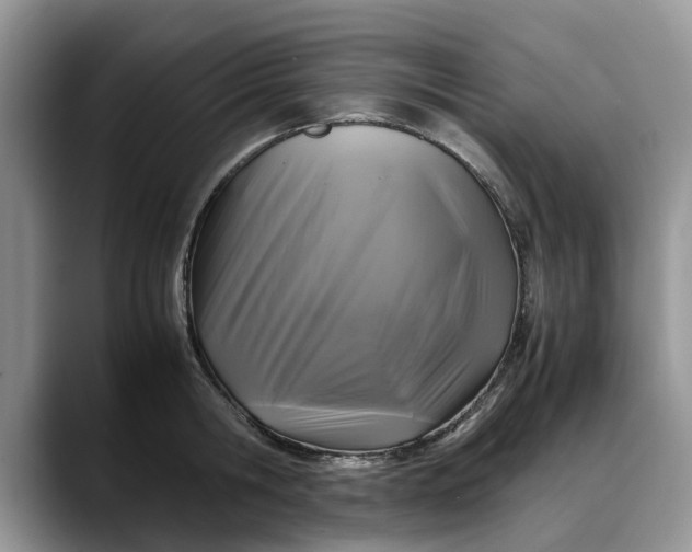 X0000088230806200705292133