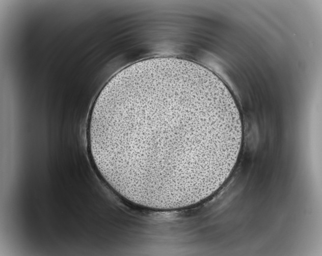 X0000088230810200705292132