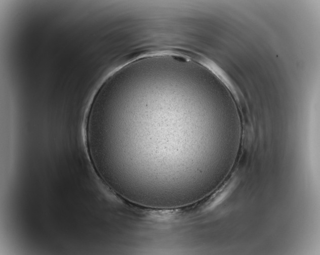 X0000088230813200705292132