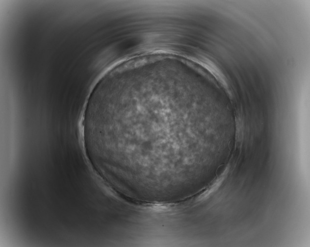 X0000088230814200705292132