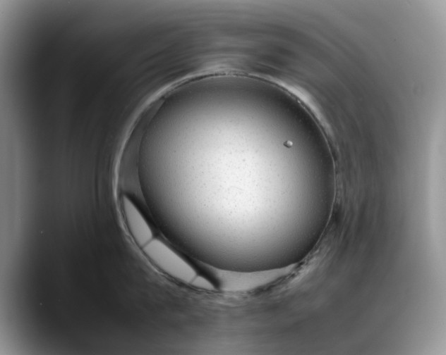 X0000088230815200705292132