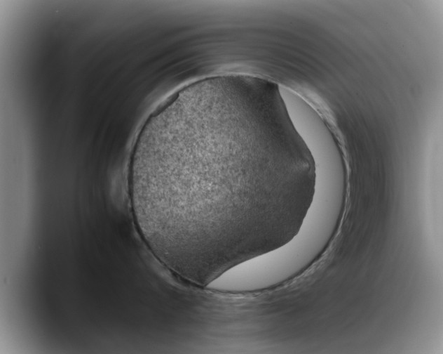 X0000088230816200705292132