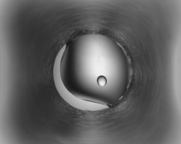 X0000088230818200705292132