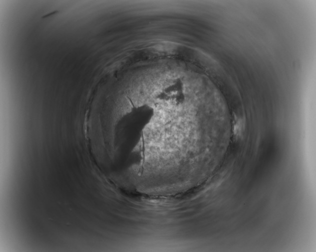 X0000088230819200705292132