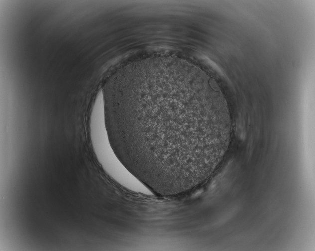 X0000088230821200705292132