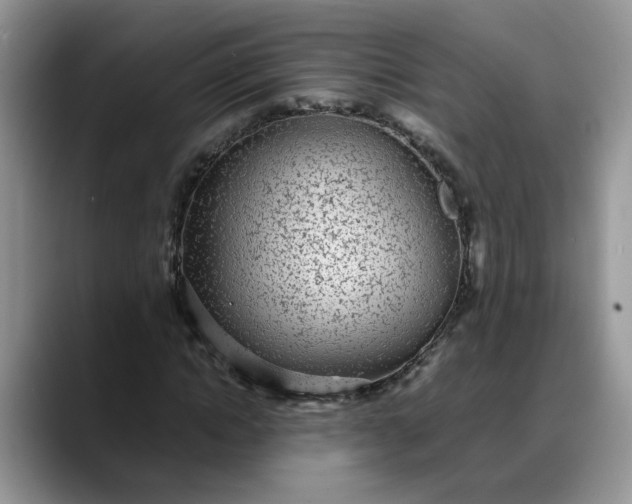 X0000088230822200705292132