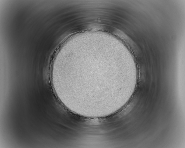 X0000088230828200705292132