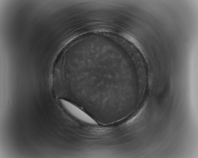 X0000088230829200705292132