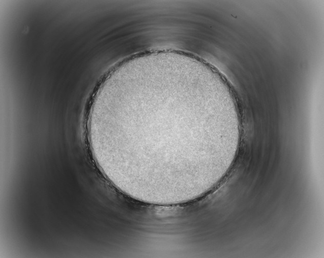 X0000088230832200705292132