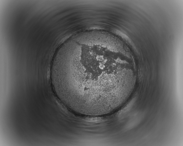 X0000088230833200705292132