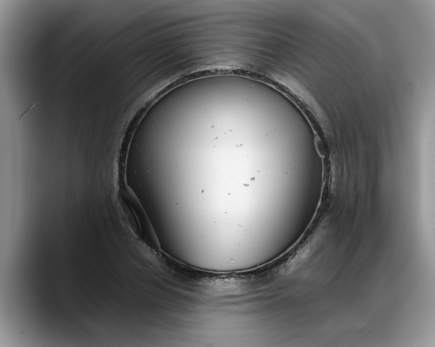 X0000088230834200705292132