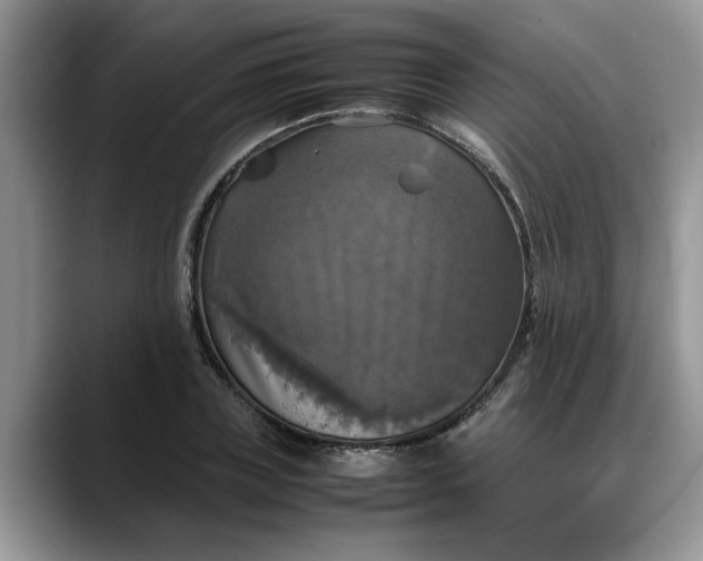 X0000088230835200705292132
