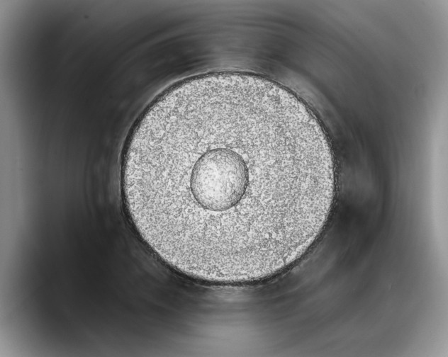 X0000088230836200705292132