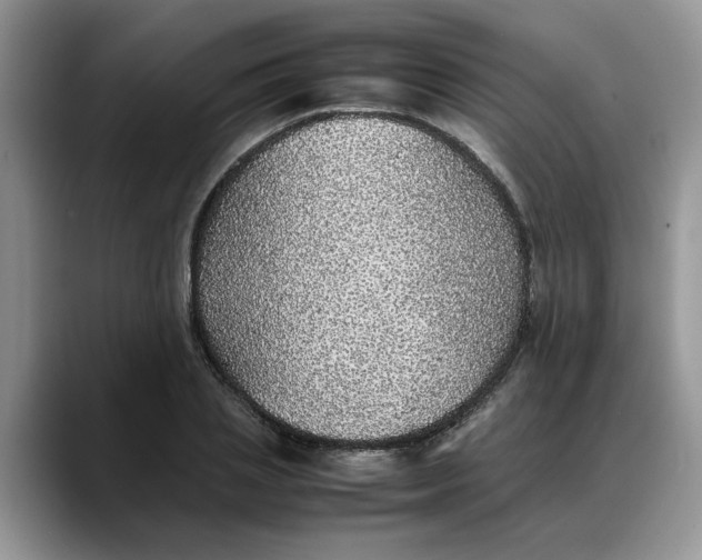 X0000088230837200705292132