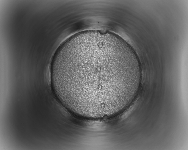 X0000088230838200705292132
