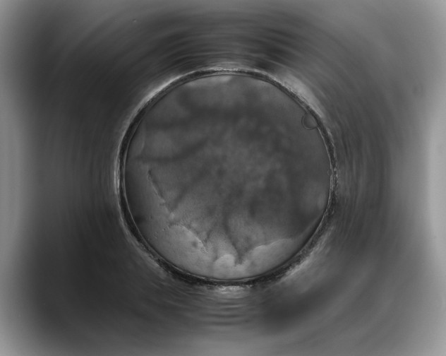 X0000088230839200705292132