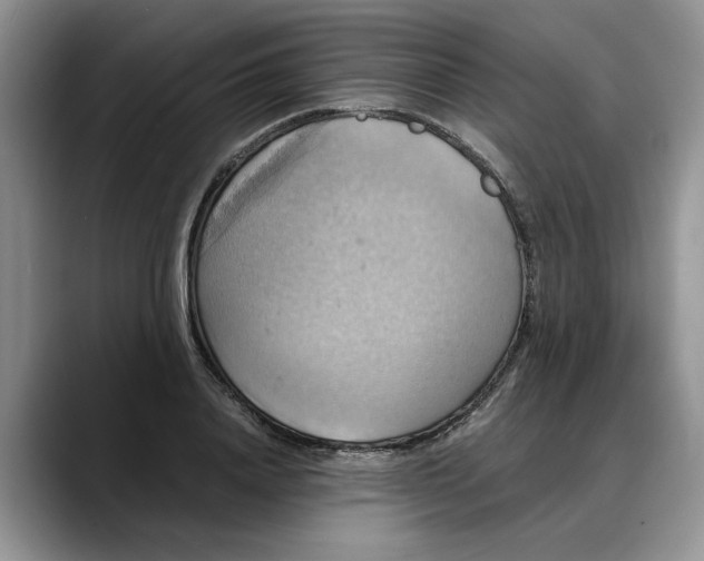 X0000088230840200705292132