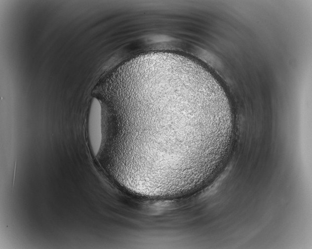 X0000088230841200705292132