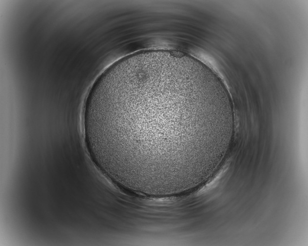 X0000088230843200705292132
