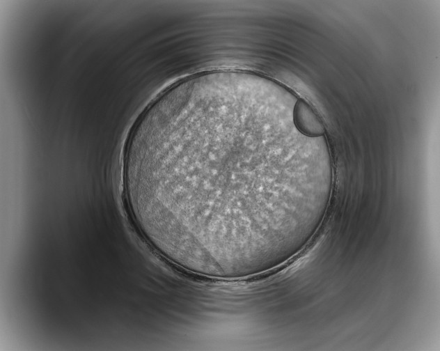 X0000088230844200705292132